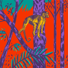 Amazonia - Especies amenazadas. Ilustração tradicional e Ilustração digital projeto de Gustavo Berocan - 02.10.2019