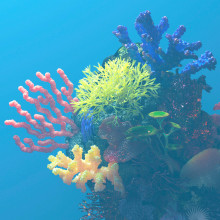 Reef. Un projet de 3D, Postproduction photographique, Retouche photographique, Créativité, Illustration numérique, Modélisation 3D , et Conception 3D de Pedro García - 23.03.2020