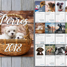 Perros Calendario 2018 . Un proyecto de Diseño gráfico y Estampación de Kevin Dennis Guiry - 10.04.2020