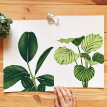 Colección Botánica Dos. Illustration, Digital Illustration, and Botanical Illustration project by Isabela Quintes - 08.28.2019
