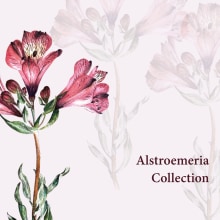 Meu projeto do curso: Ilustração botânica com aquarela. Un proyecto de Diseño gráfico e Ilustración botánica de Mariana Coutinho - 30.04.2020