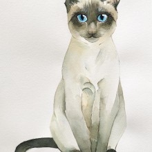 El gato siamés de Victoria. Un proyecto de Dibujo realista y Dibujo artístico de Irene R Calzadilla - 01.05.2020