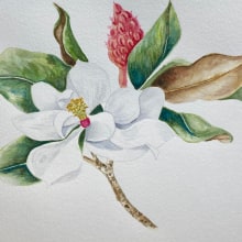 Mi Proyecto del curso: Ilustración botánica con acuarela. Un proyecto de Pintura a la acuarela de Marianne Saavedra - 05.05.2020