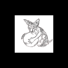Gato Adivino. Desenho digital projeto de Kerstin García - 17.11.2018