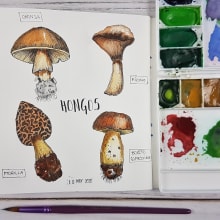 Mi Proyecto del curso: Ilustración de un diario naturalista. Un proyecto de Ilustración botánica de evirol - 10.05.2020