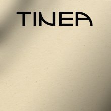 TINEA ceramics. Photograph, Br, ing, Identit, and Graphic Design project by helena miralpeix - 05.31.2020