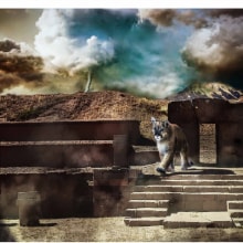 Mi Proyecto del curso: Puma Guardian de los Andes. Un proyecto de Composición fotográfica de Carlos Fernando Moscoso Aldayuz - 19.06.2020