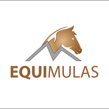 EQUIMULAS. Un proyecto de Diseño de logotipos de Santiago Velasquez - 02.07.2020