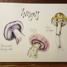 Mi Proyecto del curso: Cuaderno botánico en acuarela. Un proyecto de Dibujo artístico de Flor Ampudia - 02.07.2020