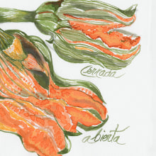 Mi Proyecto del curso: Cuaderno botánico en acuarela. Un proyecto de Diseño de Beatrix Prieto - 12.07.2020