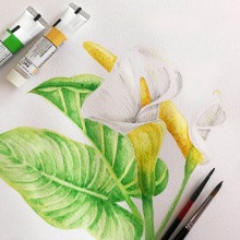 Mi Proyecto del curso: Ilustración botánica con acuarela. Un proyecto de Bellas Artes de Stephanie Rodriguez Buitrago - 13.07.2020