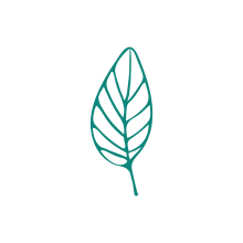My project - Plantology. Br, ing e Identidade, e Design de logotipo projeto de Alex Nazarie - 14.07.2020
