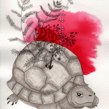 Tortuga. Paciencia.. Traditional illustration, Botanical Illustration & Ink Illustration project by Mònica Roca - 07.16.2020