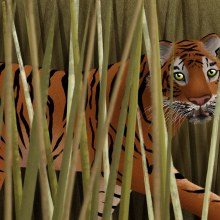Tiger. Digital Illustration project by Tom Marshall - 07.17.2020