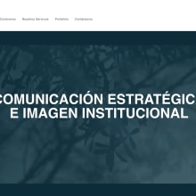 Desarrollo de Plan de Medios | Qartico. Marketing, Content Marketing, and Facebook Marketing project by Enrique Alexander Alarcon Marroquin - 07.24.2020