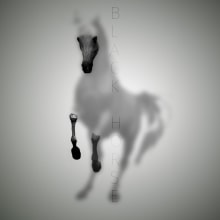 Black Horse. Photographic Composition project by Cris Morillas - 07.30.2020