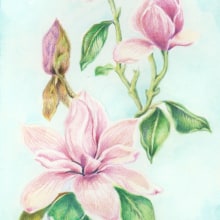 Mi Proyecto del curso: Ilustración botánica con acuarela. Um projeto de Desenho artístico de Yahann Romero - 05.08.2020