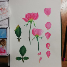 Mi Proyecto del curso: Ilustración botánica con acuarela. Un proyecto de Ilustración botánica de Cyndi Estrella Vega - 11.08.2020