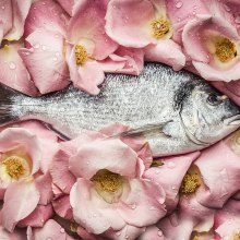 Fish & Flowers. Fotografia projeto de Violeta Gladstone - 02.02.2018