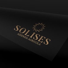 Solises - Winery . Un proyecto de Br e ing e Identidad de Rosario Lo Iacono - 15.08.2020