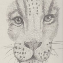 ANIMALES SALVAJES. Pencil Drawing project by Mar Tenor - 09.09.2020