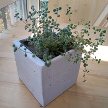 My concrete planters in cardboard molds. Furniture Design, and Making project by dmtr.mrshn - 09.14.2020