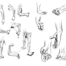 Recopilación de anatomía humana Jacobo. Illustration project by Jacobo Ospina Rojas - 09.17.2020