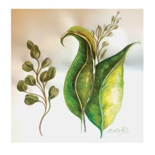Mi Proyecto del curso: Acuarela botánica para estampados. Un proyecto de Dibujo de Beatrix Prieto - 25.09.2020