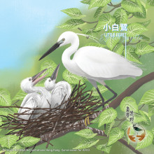 Egret Illustrations. Computer Graphics. . Traditional illustration, and Digital Illustration project by Nicole Kit - 08.21.2020