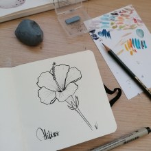 Reto Ilustración: 31 días, 31 dibujos de flores. Desenho a lápis, Desenho e Ilustração botânica projeto de Valeria Visoso - 01.10.2020