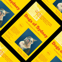 Dogs of Sydney. Br, ing, Identit, and Editorial Design project by Friendhood Studio - 08.26.2017