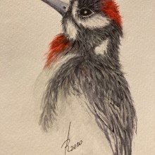 Mi Proyecto del curso: Ilustración naturalista de aves con acuarela Ein Projekt aus dem Bereich Zeichnung von pecescd - 11.10.2020