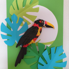 Tucan pico de navaja, El Salvador. Un proyecto de Ilustración tradicional, Diseño gráfico, Papercraft y Diseño de carteles de Karla Gonzalez - 21.10.2020