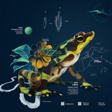 Identidad visual, Centro Interactivo del Canal de Panamá. Art Direction, Br, ing, Identit, Collage, Infographics, and Digital Illustration project by Estudio Agite - 10.23.2020