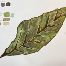 My project in Botanical Watercolor Sketchbook course. Pintura em aquarela projeto de BENJAMIN CORRALES - 24.10.2020