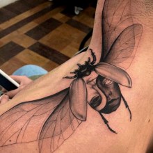 Fauna e flora. Un proyecto de Bellas Artes y Diseño de tatuajes de Maria Clara Guimarães - 06.11.2020