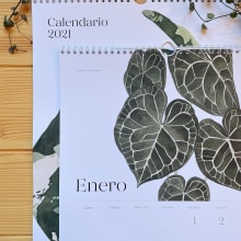 Calendario 2021. Design, Traditional illustration, Painting, Paper Craft, Drawing, Watercolor Painting, and Botanical Illustration project by Isabela Quintes - 11.10.2020