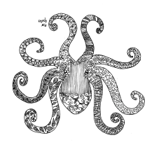 Pulpo. Drawing project by Mar Asulay - 11.30.2020
