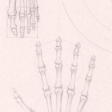 Tablero de estudio de proporciones humanas. Un proyecto de Dibujo a lápiz, Dibujo y Dibujo anatómico de Marcelo Perez Izco - 03.12.2020