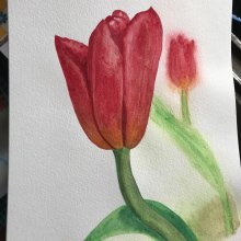 Mi Proyecto del curso: Ilustración botánica con acuarela. Pintura em aquarela projeto de Lily Portius Yáñez - 06.12.2020