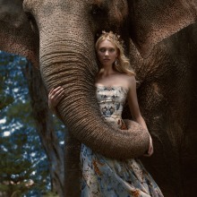 D´SCENE: Autumn For The Elephants. Fotografia projeto de Jvdas Berra - 16.06.2016
