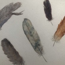 Feathers. Un proyecto de Pintura a la acuarela de Jennifer - 21.12.2020
