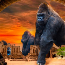 Mi Proyecto del curso: Secretos del fotomontaje y el retoque creativo "King Kong ha crecido". Un proyecto de Fotografía digital y Fotomontaje de María Gracia Morales Jiménez - 23.12.2020