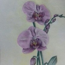 orquideas. Watercolor Painting project by Rosalia Di Maggio - 12.26.2020