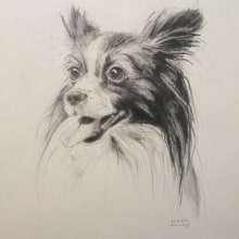 Dogs' pencil portraits. Un proyecto de Ilustración tradicional de A KJ - 27.12.2020