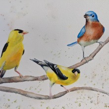 My project in Artistic Watercolor Techniques for Illustrating Birds course. Un proyecto de Pintura a la acuarela y Fotografía arquitectónica de adharper49 - 28.12.2020