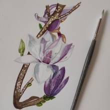 Mi Proyecto del curso: Ilustración botánica con acuarela. Botanical Illustration project by Eloisa Gutiérrez - 01.01.2021