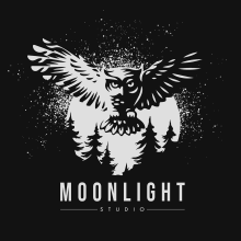 Moonlight Studio - Nueva imagen de marca.. Un proyecto de Diseño de Daniel Romero - 24.11.2020