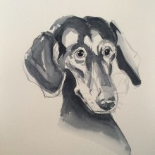 Watercolour dogs' portraits. Un proyecto de Ilustración tradicional de A KJ - 10.01.2021