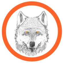 Wolf. Ilustração tradicional projeto de Jose Roberto Escamilla - 12.01.2021
